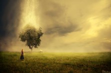 Christ's followers are also called to seek out what is lost