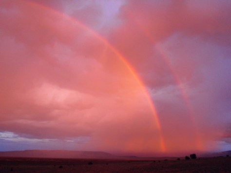 "The desert and the parched land will exult; the steppe will rejoice and bloom" -- Isaiah 35:1