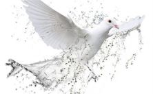 I saw the Spirit come down like a dove from heaven and remain upon him -- Jn 1:32