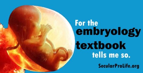 Image taken from Facebook page: "Pro-Life without God"