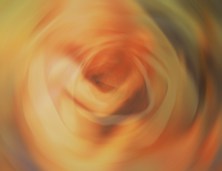 life in full bloom cropped 11 x 15 copy 2