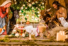 Our Lady of La Leche St. Augustine New Year 2020-0622